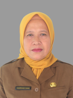 Hj. Hartini Gani,M.Pd Hj. Hartini Gani,M.Pd