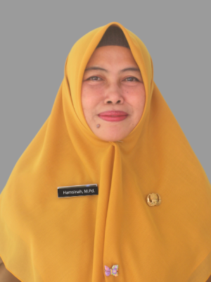 Hamsinah, S.Pd,M.Pd. Hamsinah, S.Pd,M.Pd.