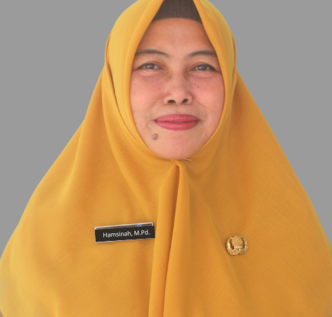 Hamsinah, S.Pd,M.Pd.