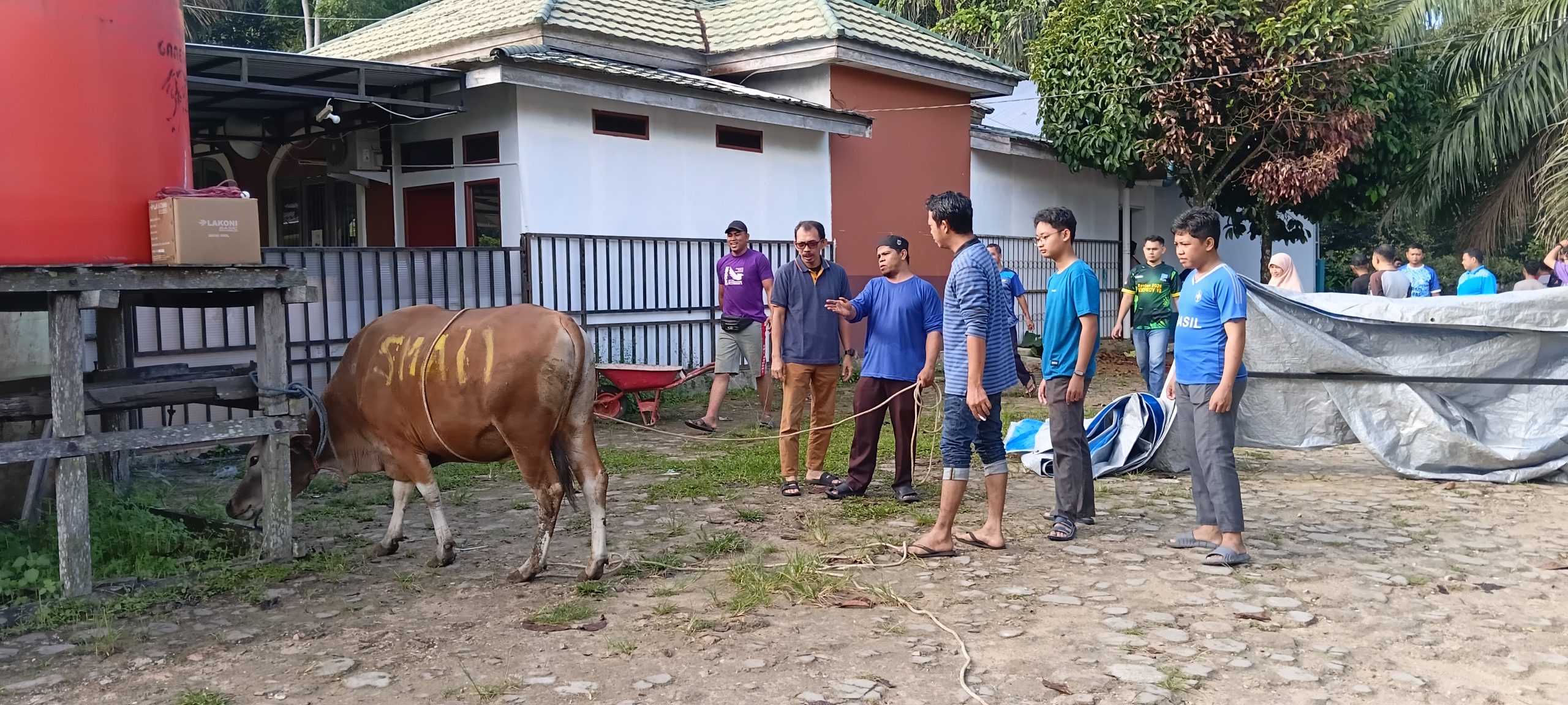 KEGIATAN QURBAN SMAN 11 SAMARINDA: TEBAR KEBERKAHAN DAN PERERAT SILATURAHMI KEGIATAN QURBAN SMAN 11 SAMARINDA: TEBAR KEBERKAHAN DAN PERERAT SILATURAHMI
