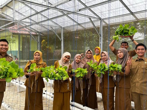 PANEN PAKCOI HIDROPONIK DI GREENHOUSE SMAN 11 SAMARINDA BERLANGSUNG SUKSES