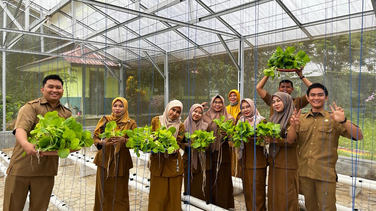 PANEN PAKCOI HIDROPONIK DI GREENHOUSE SMAN 11 SAMARINDA BERLANGSUNG SUKSES
