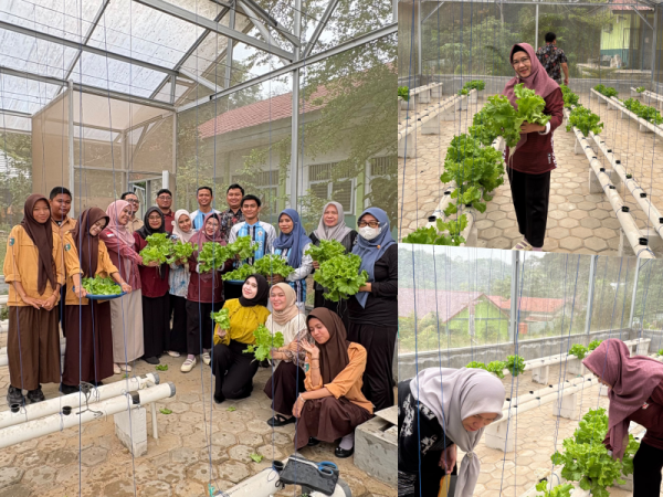 Menanam Kebersamaan, Memanen Kebanggaan: Hydroponic Harvest SMAN 11 Samarinda