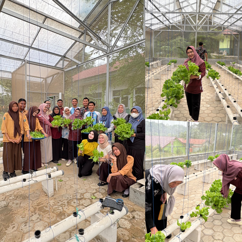 Menanam Kebersamaan, Memanen Kebanggaan: Hydroponic Harvest SMAN 11 Samarinda Menanam Kebersamaan, Memanen Kebanggaan: Hydroponic Harvest SMAN 11 Samarinda
